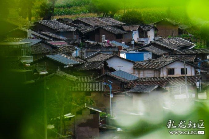 单方面怎么离婚需要什么条件游戏画面