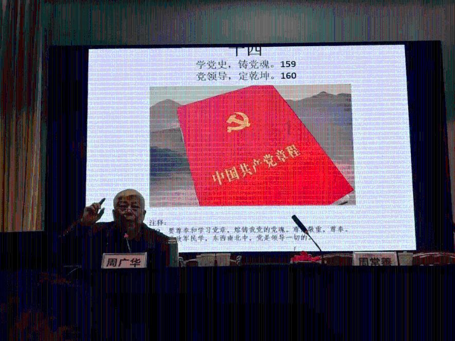 可怜猫的救援