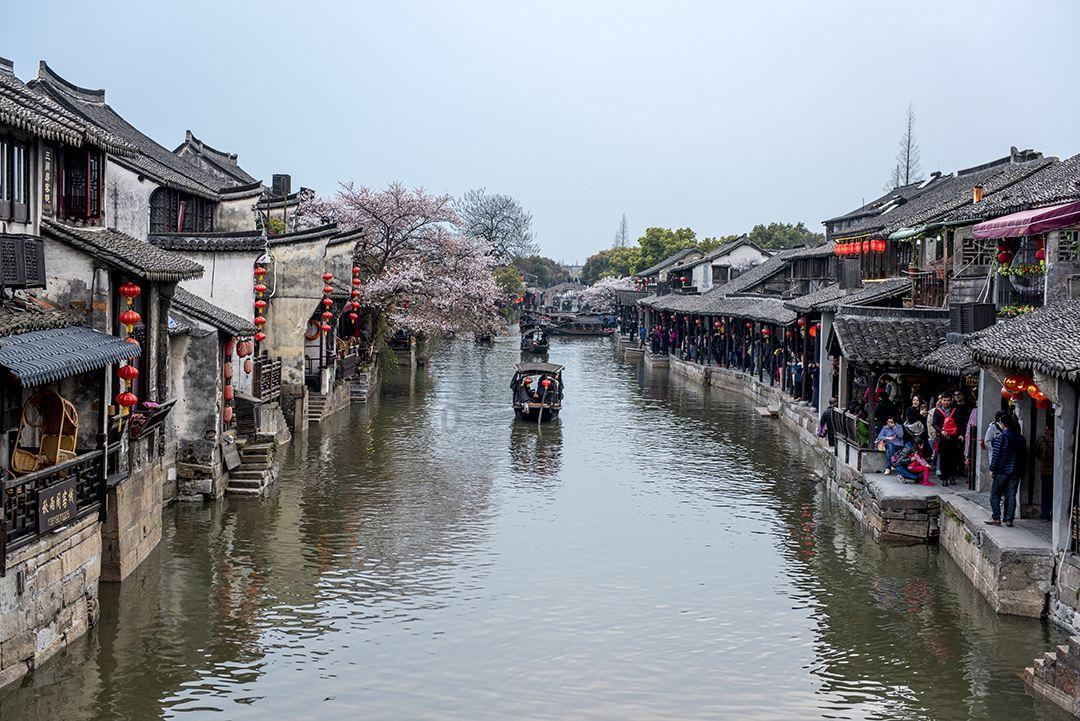 救援蝙蝠